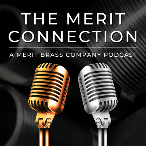 The Merit Connection - Podcast Art